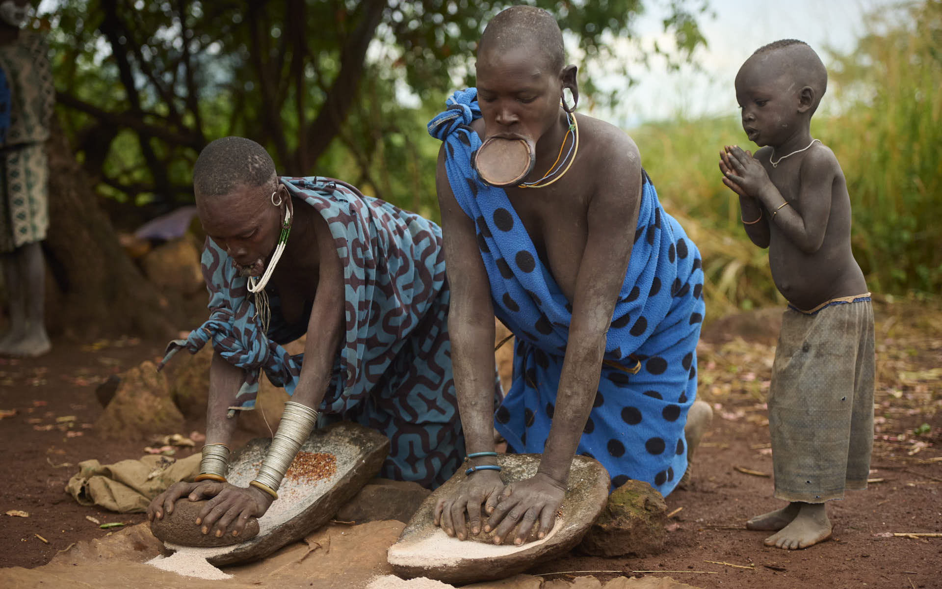 Grinding sorghum to make alcohol.